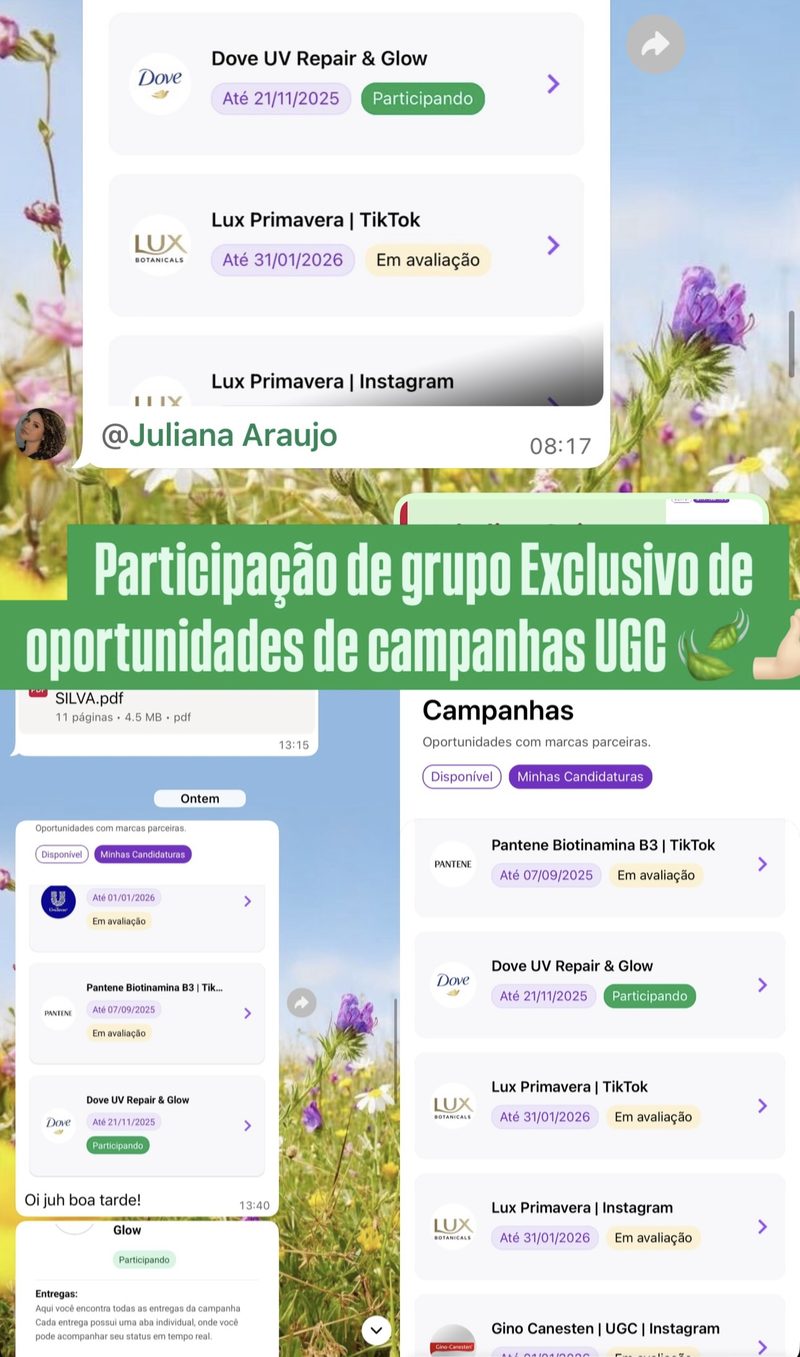 Print do grupo exclusivo de oportunidades com campanhas de Dove, Lux e Pantene
