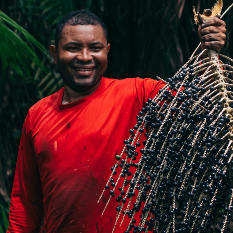 Produtor segurando cacho colhido na floresta